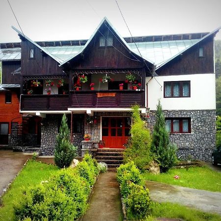 Vila Vanturis Hotel Sinaia Exterior foto